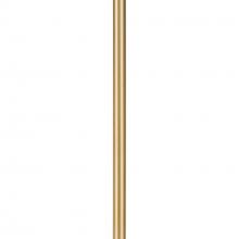 ACCESSORY STEM