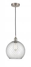 FARMHOUSE CHICKEN WIRE