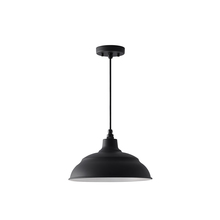 Capital 936311BK - RLM 14" 1-Light Outdoor Hanging Lantern
