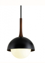 Troy F7646-SBK - Cadet Pendant