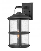 Hinkley 2684BK - Lakehouse Medium Wall Lantern - Black