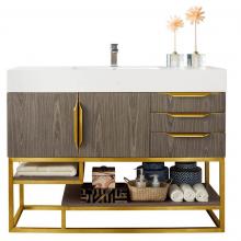 James Martin Furniture 388-V48-AGR-RG - Columbia 48'' Single Vanity, Ash Gray, Radiant Gold